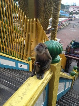 Batu Mağaraları Kuala Lumpur