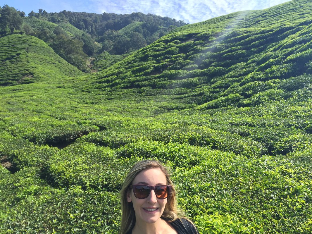 Cameron Highlands