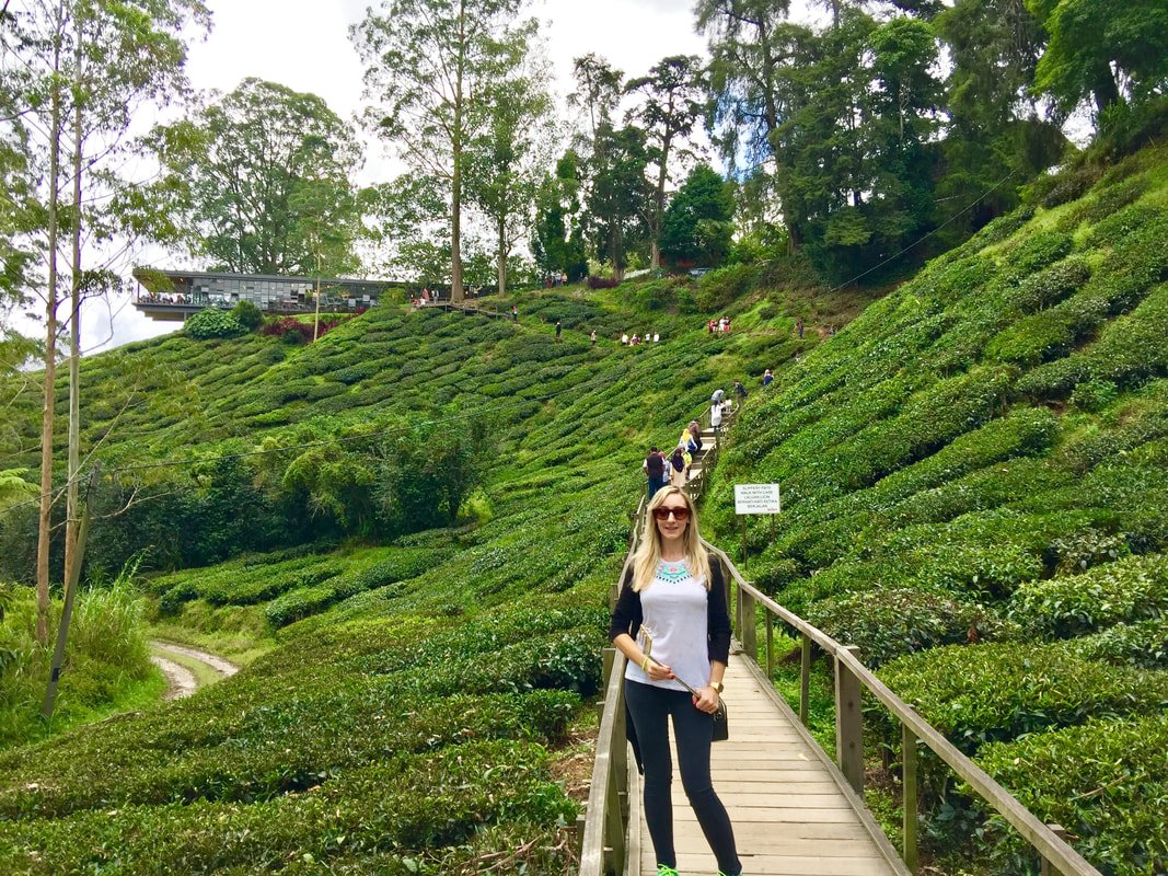 Cameron Highlands