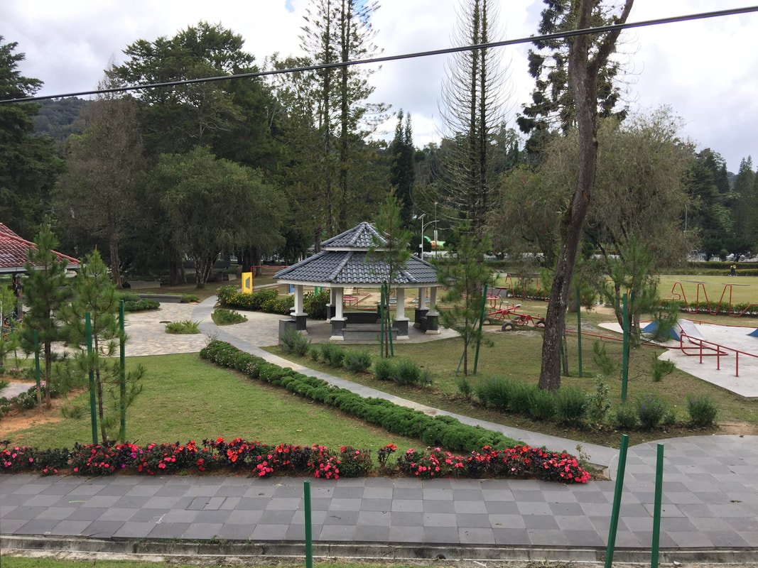 Cameron Highlands