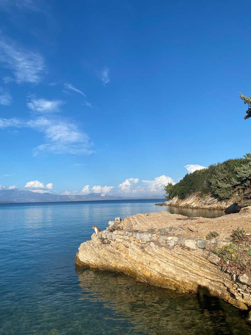 Resim