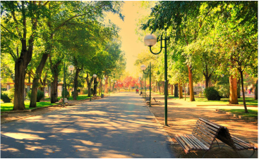 Ciudad Real