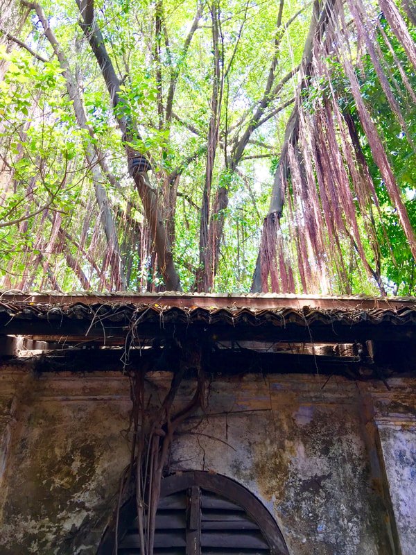 Ipoh, Malezya