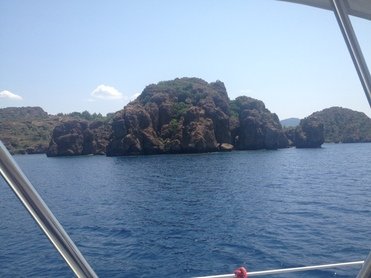 Picture