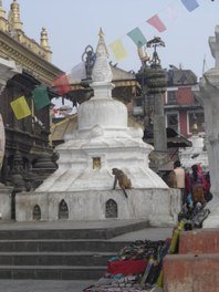 Nepal