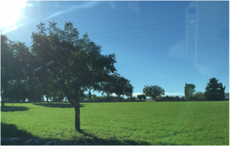 Puglia