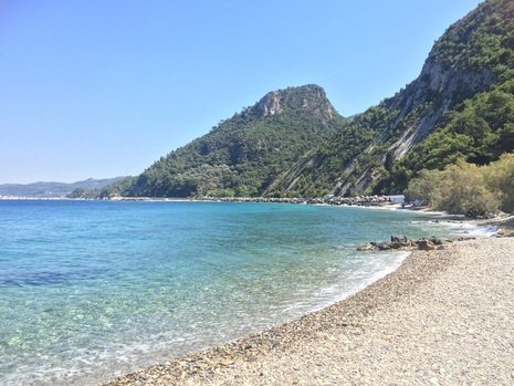 Avlakia