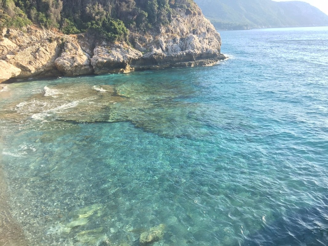 Micro Seitani