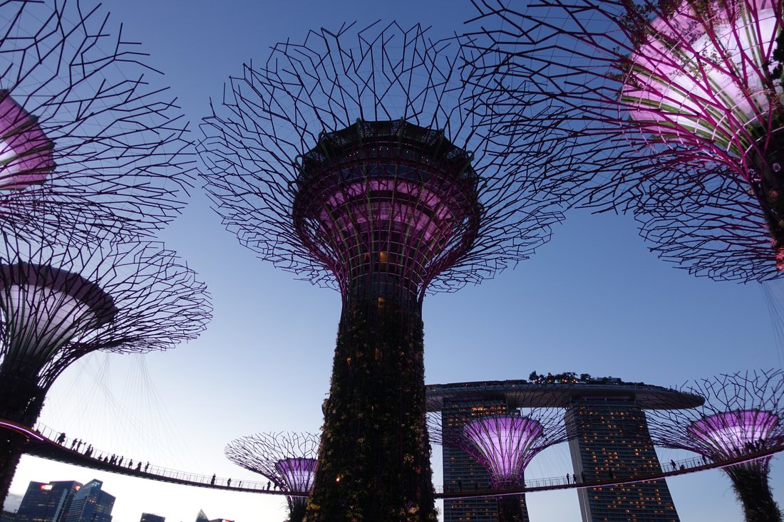 Resim