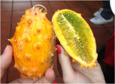 Tenerife